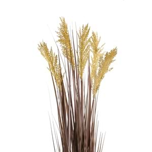 110 CM PAMPAS SARI
