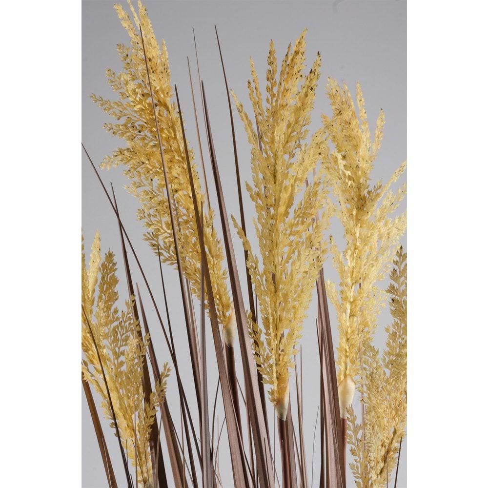 110 CM PAMPAS SARI