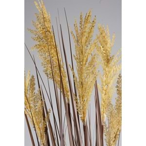 110 CM PAMPAS SARI