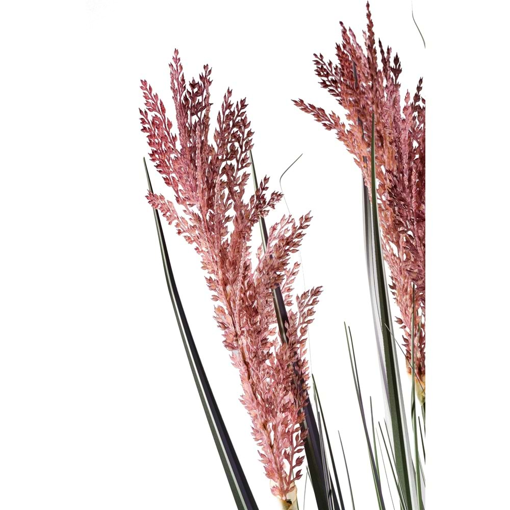 110 CM PAMPAS MOR