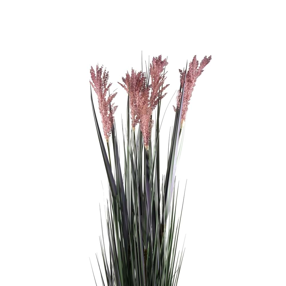 110 CM PAMPAS MOR