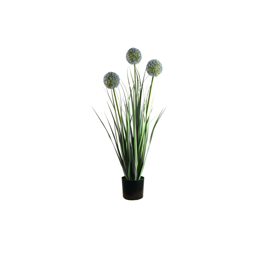 80 CM TOP SAZ MOR