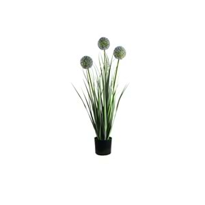 80 CM TOP SAZ MOR