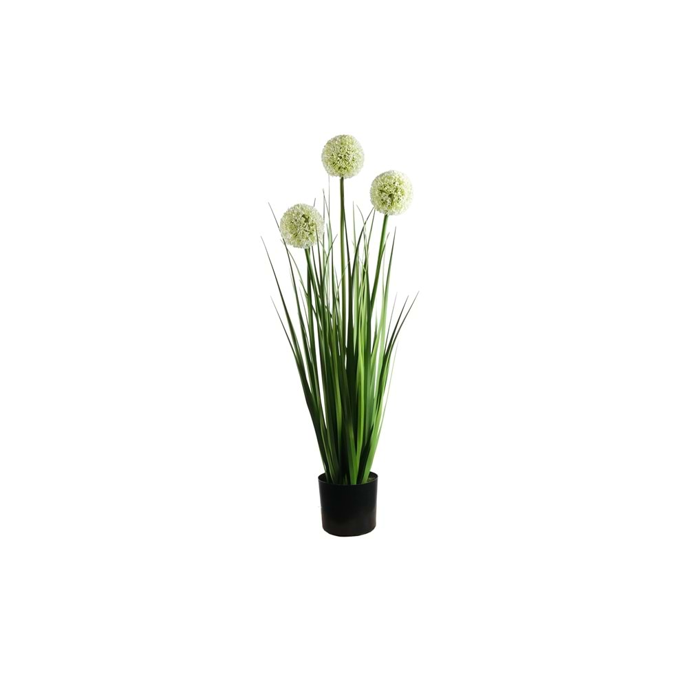 80cm TOP SAZ BEYAZ