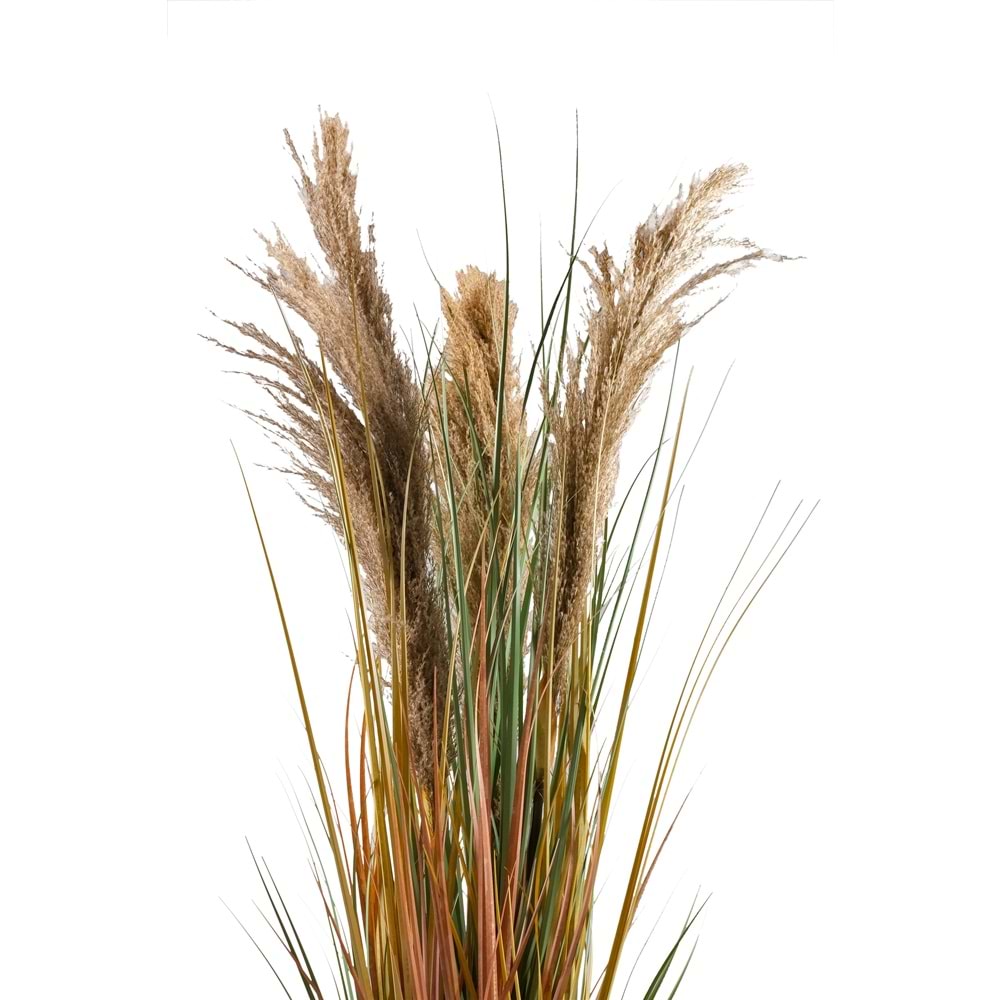 110 CM PAMPAS