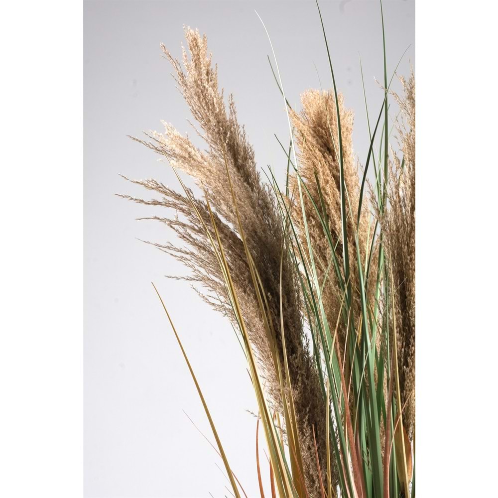 110 CM PAMPAS