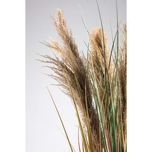 110 CM PAMPAS