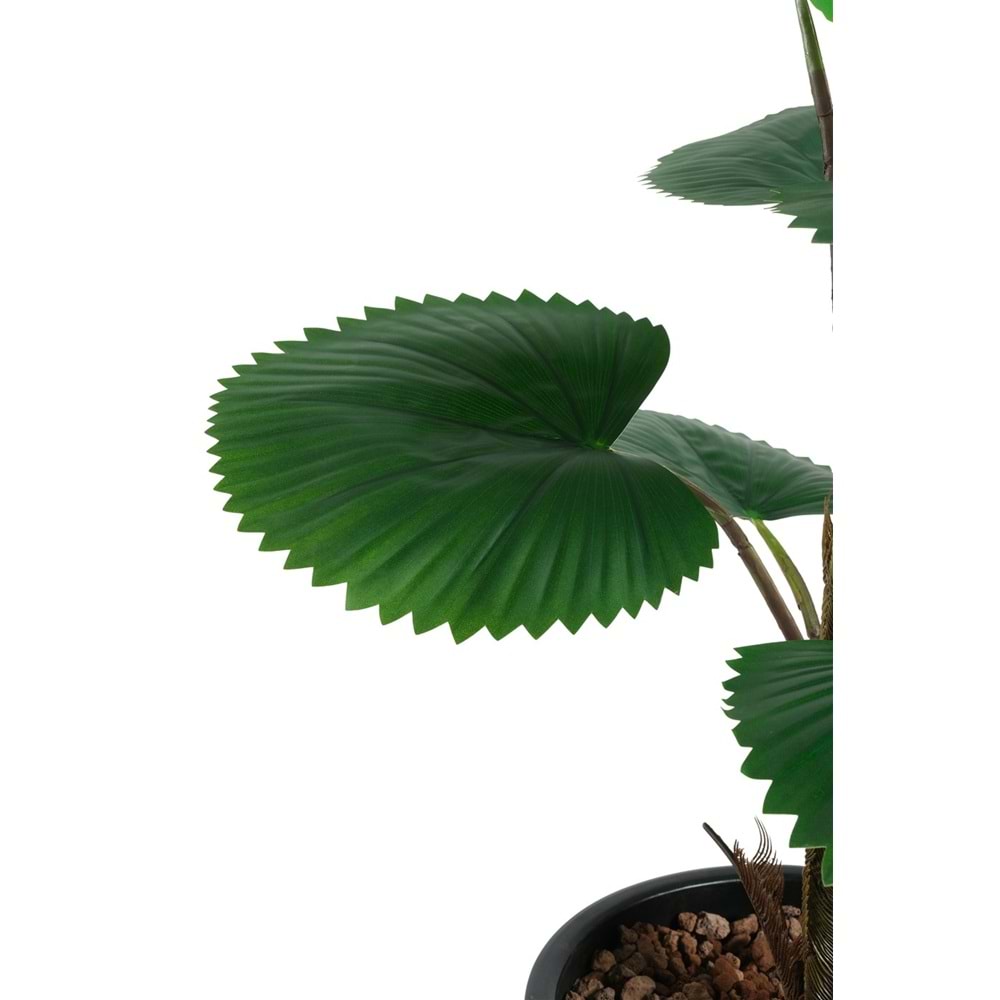 75 CM CIRCULAR PALM