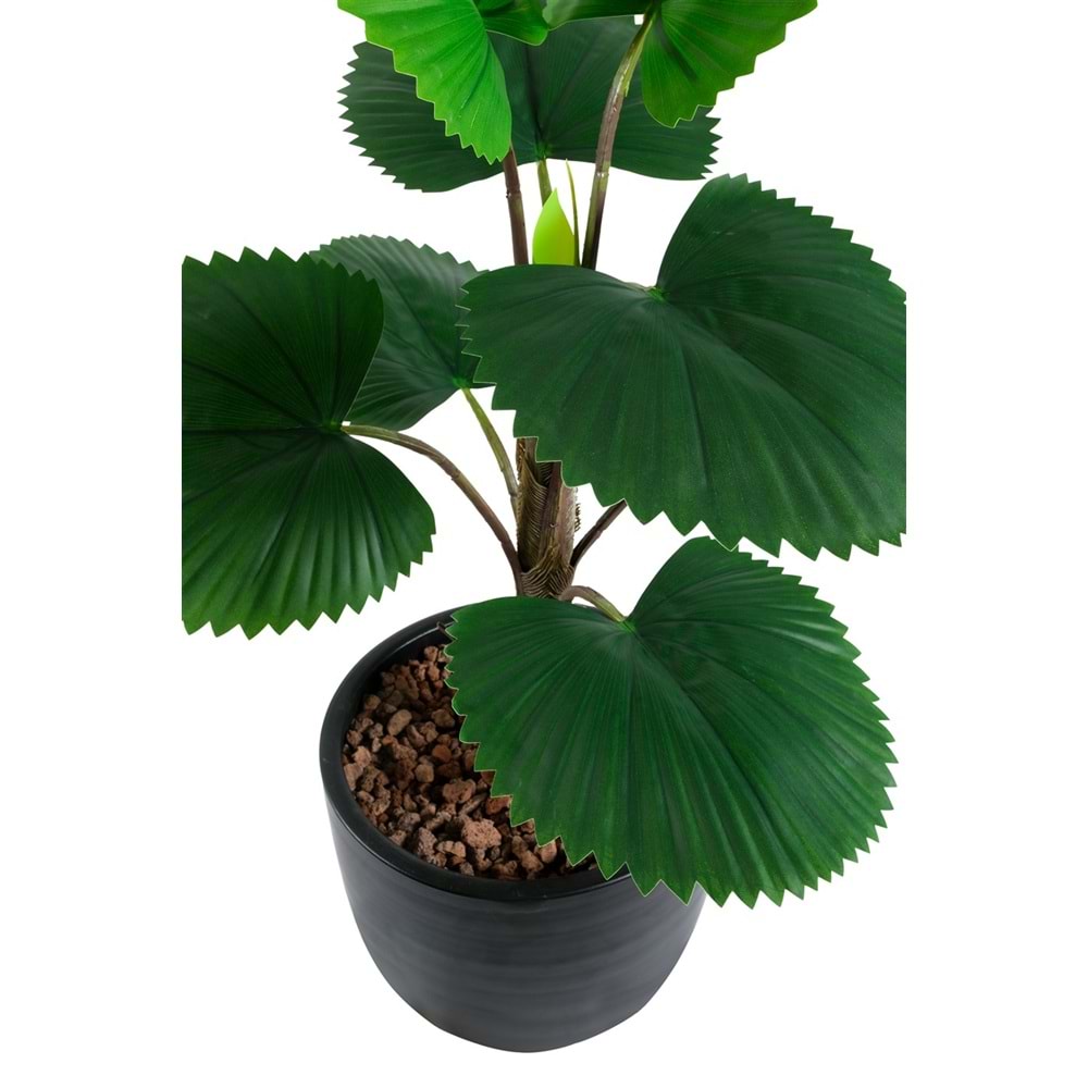 75 CM CIRCULAR PALM