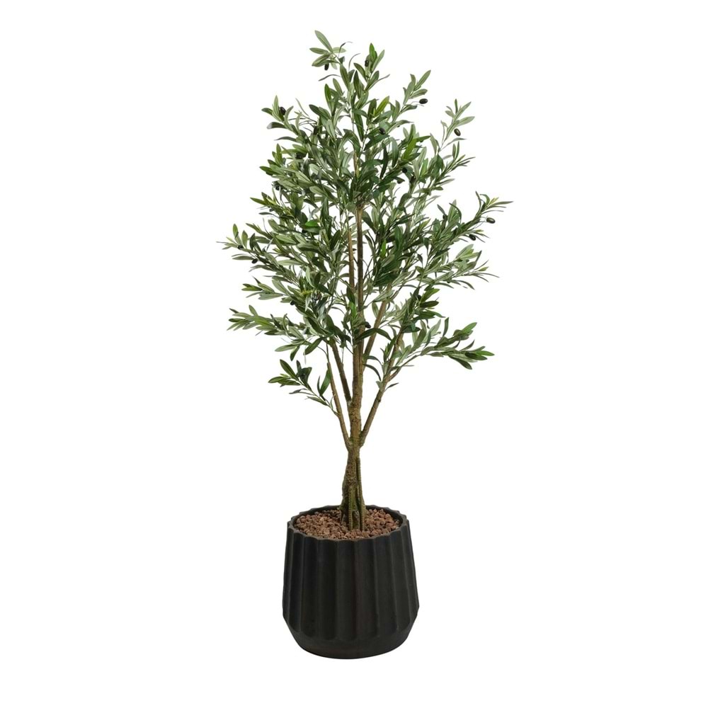 160 CM ZEYTİN AĞACI