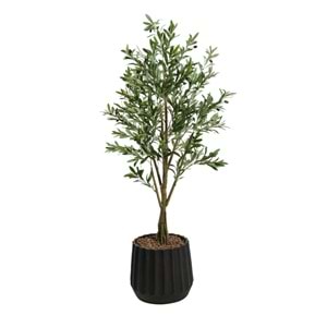 160 CM ZEYTİN AĞACI