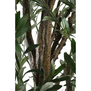 160 CM ZEYTİN AĞACI