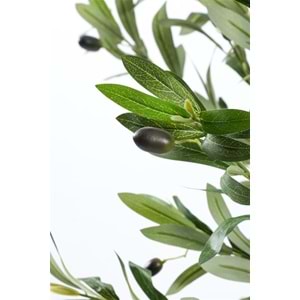 120 CM ZEYTİN AĞACI