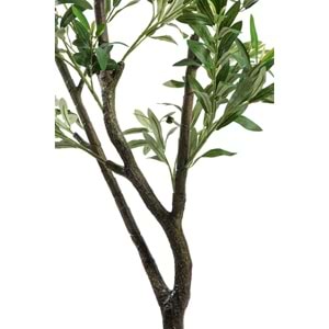 120 CM ZEYTİN AĞACI