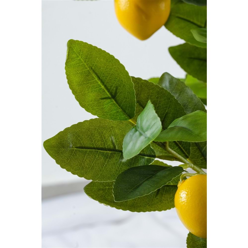 140 CM LİMON AĞACI