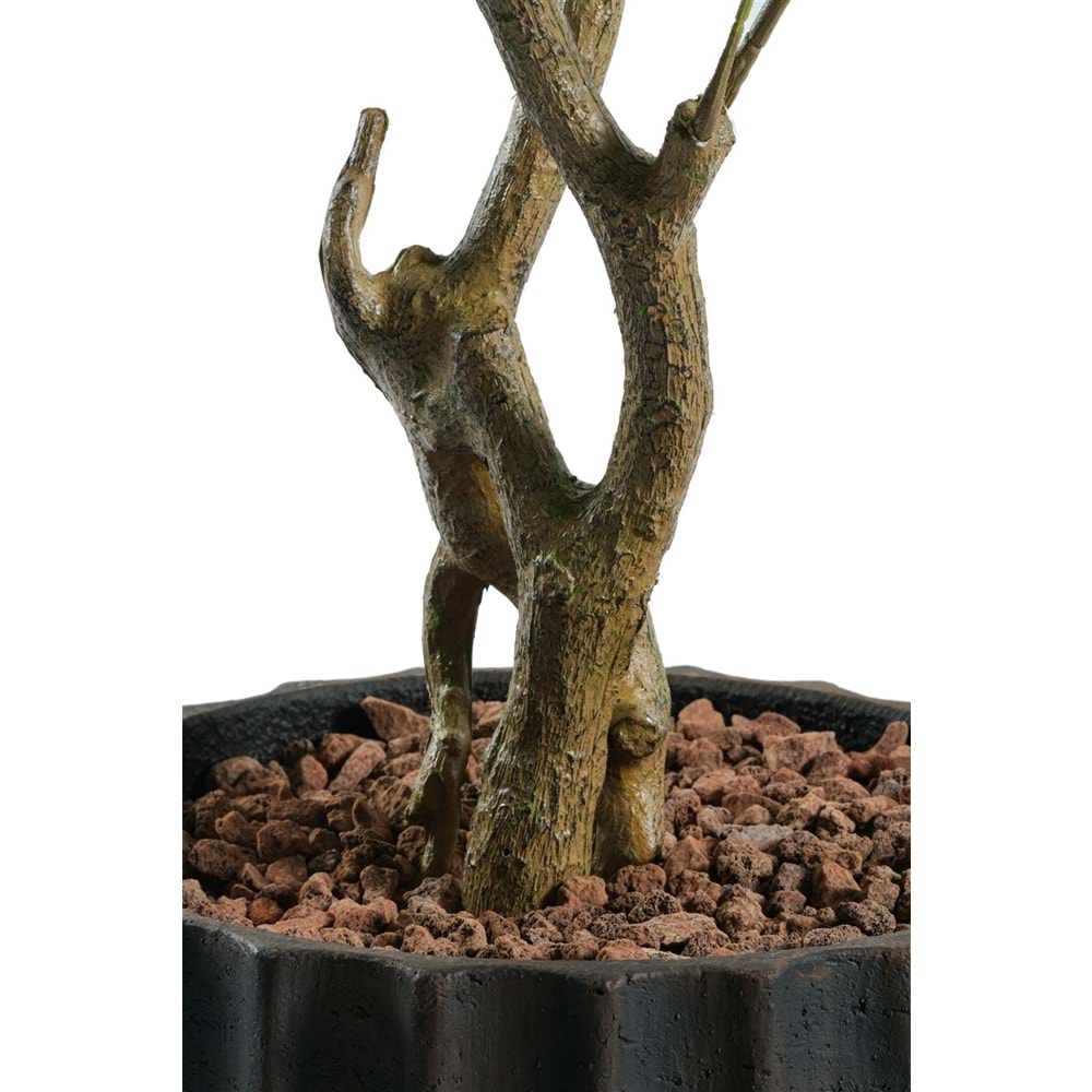 140 CM LİMON AĞACI