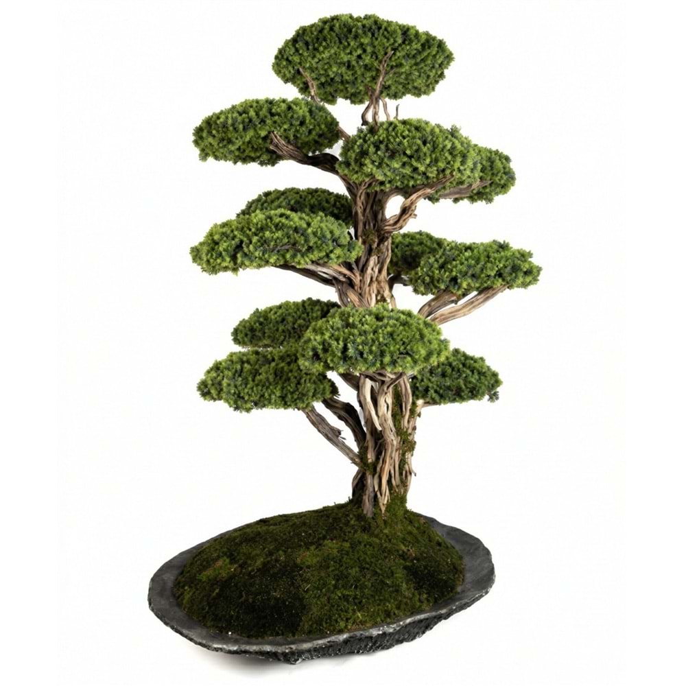 150*200 CM 11 KAFA SAKSILI BONSAI