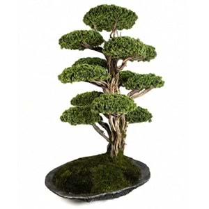 150*200 CM 11 KAFA SAKSILI BONSAI
