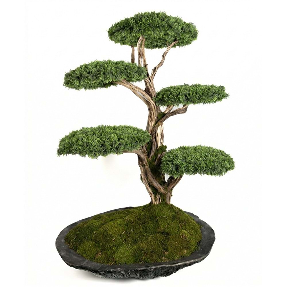 100*160*200 CM SAKSILI BONSAI