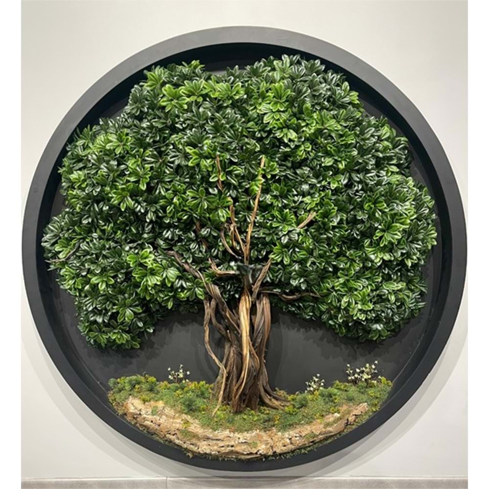 160 CM OVAL BONSAI PANO
