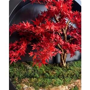100 CM YUVARLAK BONSAI PANO