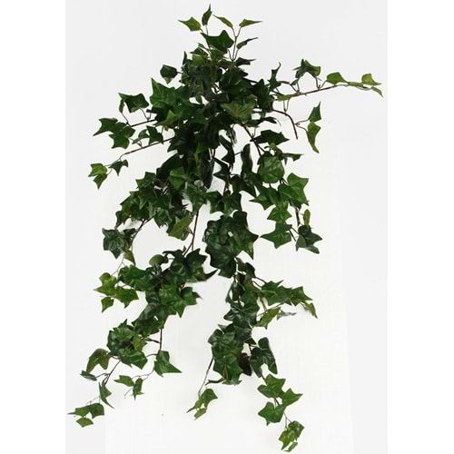 80 CM HEDERA SARMAŞIK