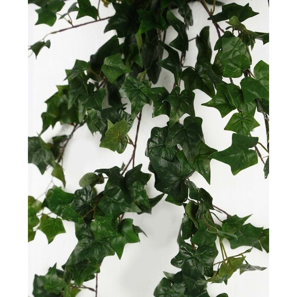 80 CM HEDERA SARMAŞIK
