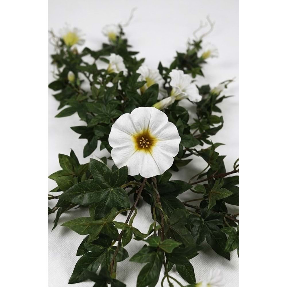60 CM BEYAZ PETUNYA SARMAŞIK