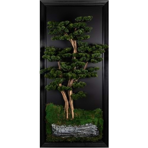 89*194 BONSAI PANO