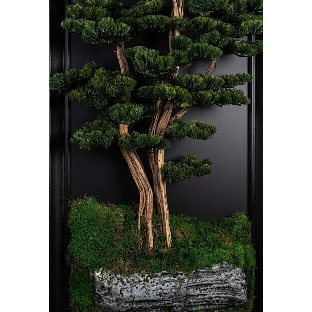 89*194 BONSAI PANO