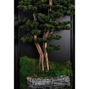 89*194 BONSAI PANO