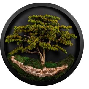 140 CM YUVARLAK BONSAI PANO