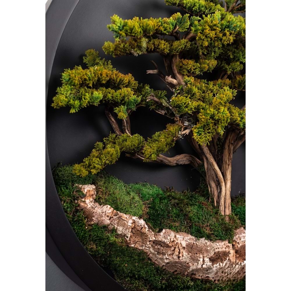 140 CM YUVARLAK BONSAI PANO