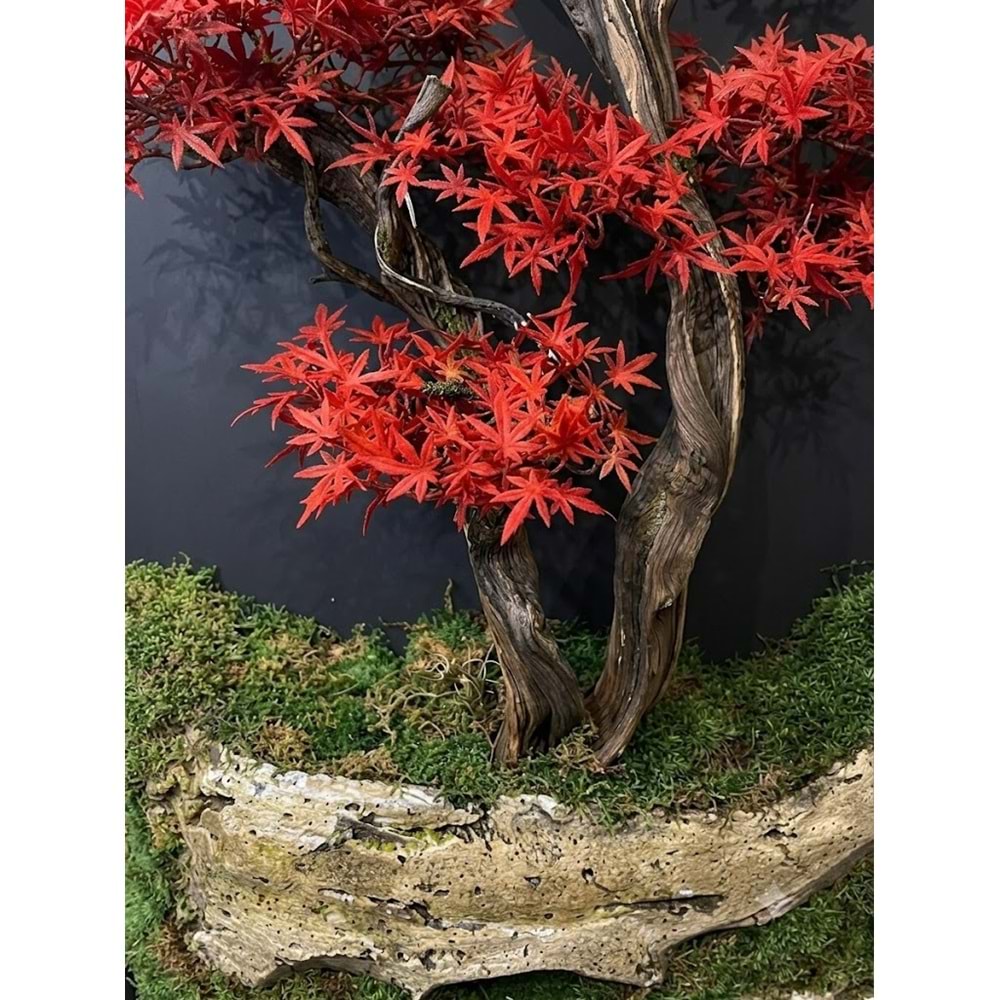 70*140 CM KIRMIZI BONSAI TABLO