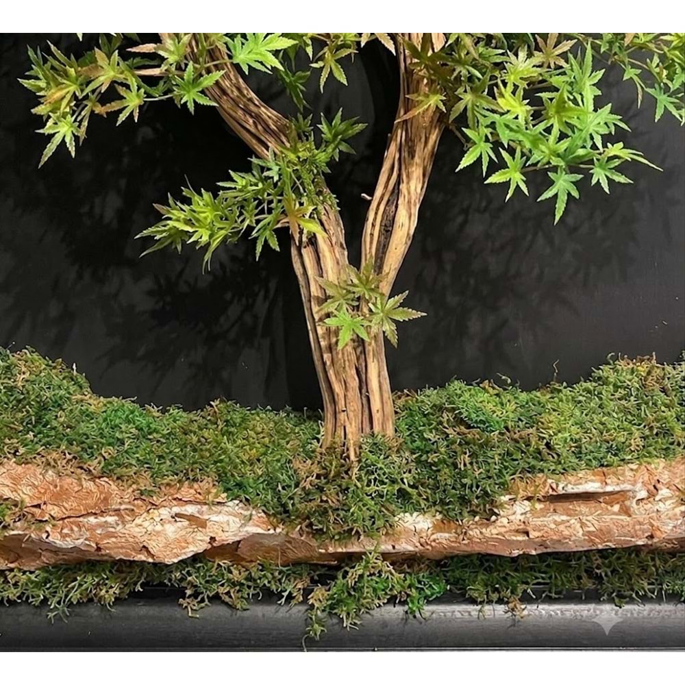 90*90 BONSAI TABLO