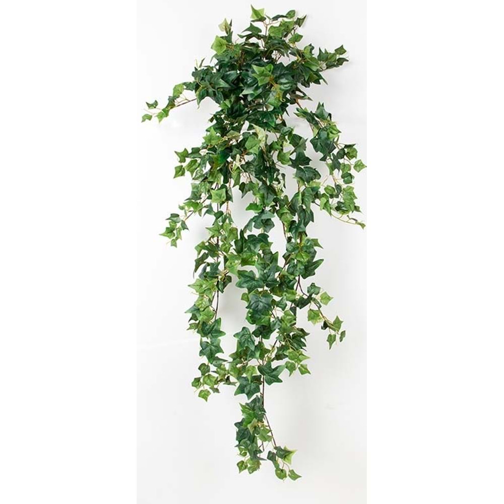 120 CM ENGLISH IVY