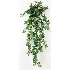 120 CM ENGLISH IVY