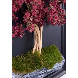 50*70 CM BONSAI TABLO