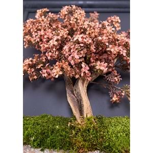 50*70 CM BONSAI TABLO