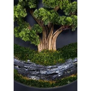 80 CM BONSAI TABLO