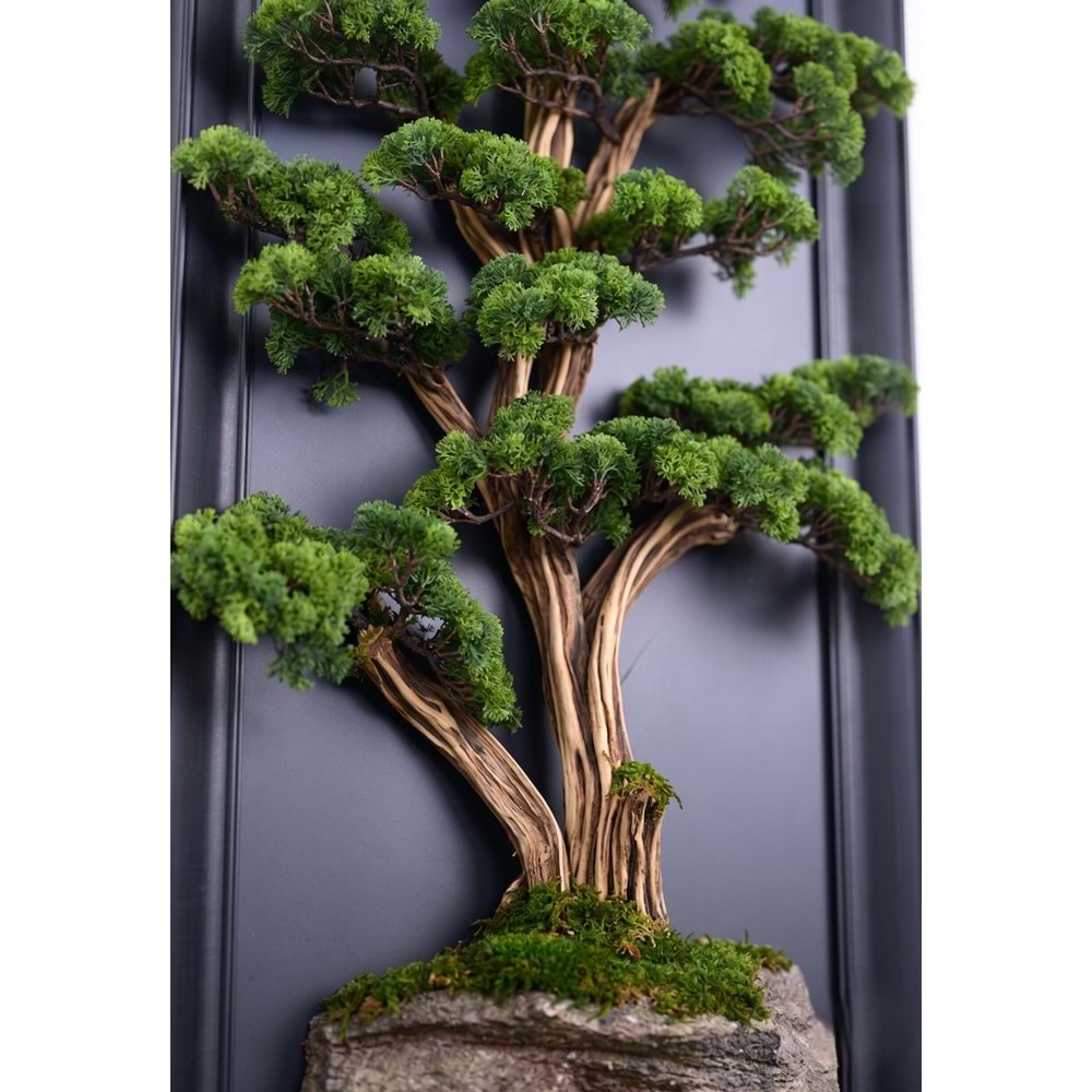 60*130 CM BONSAI TABLO