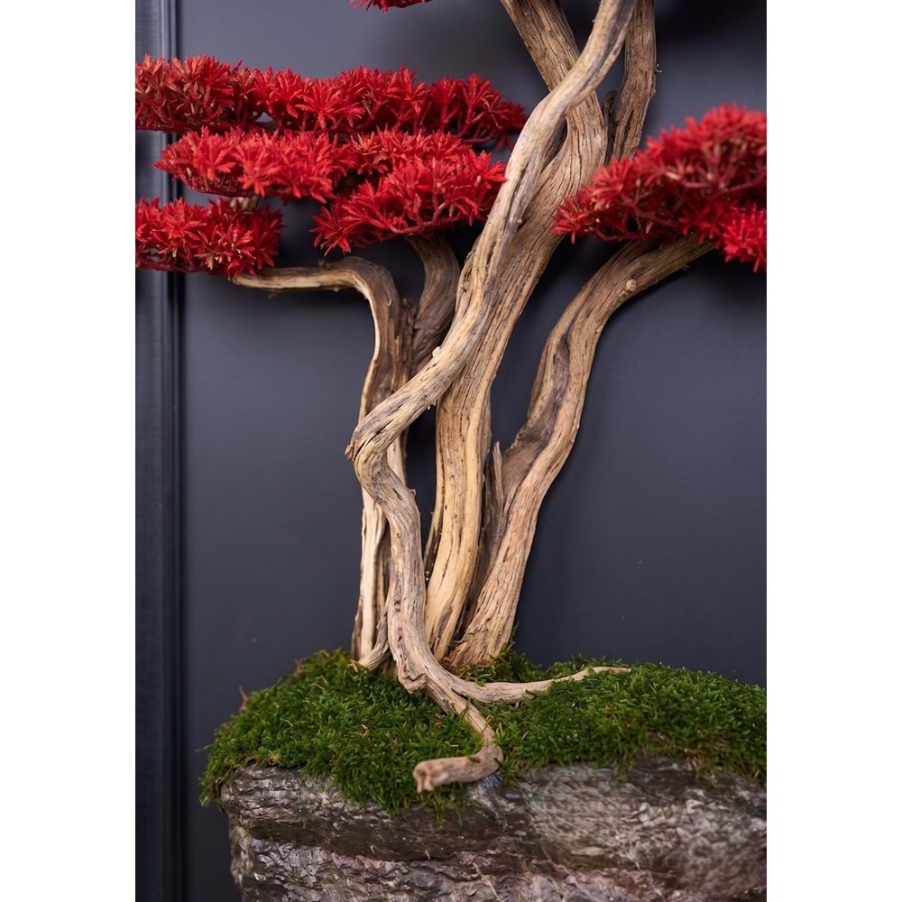 60*130 CM BONSAI TABLO