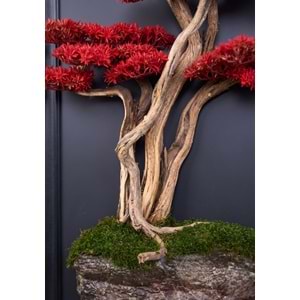 60*130 CM BONSAI TABLO