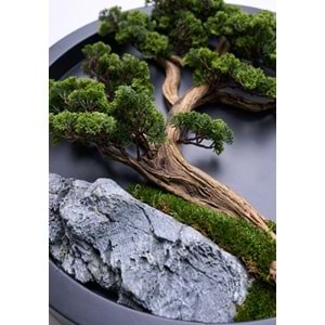 90 CM BONSAI PANO