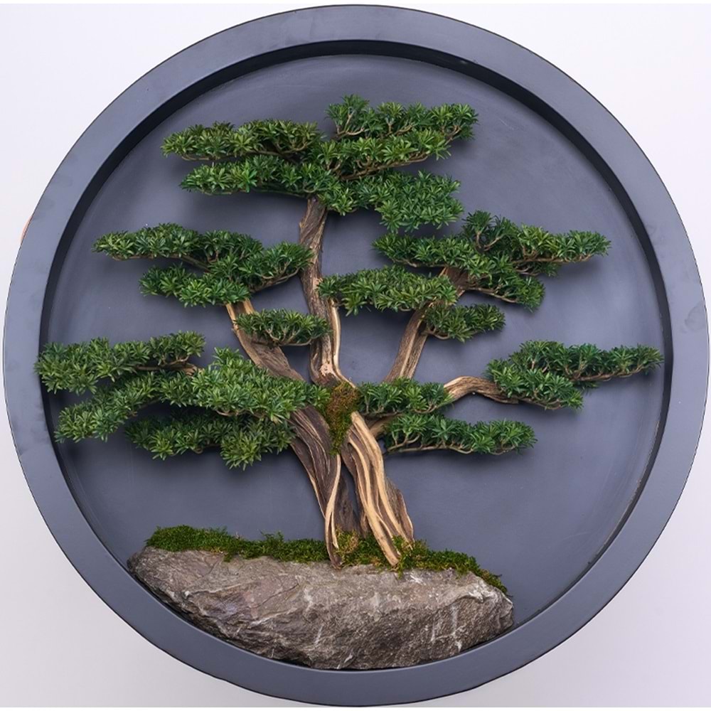 90 CM BONSAI PANO