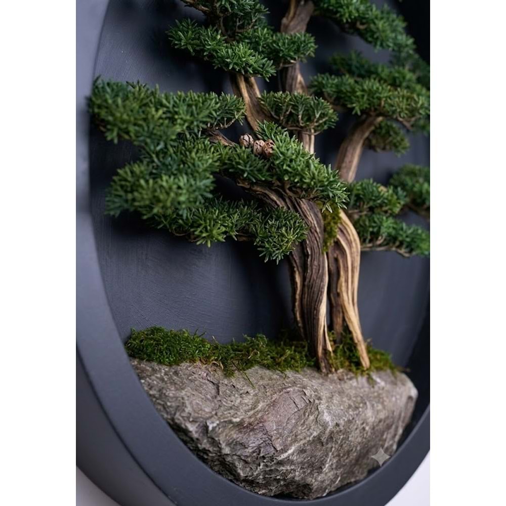 90 CM BONSAI PANO