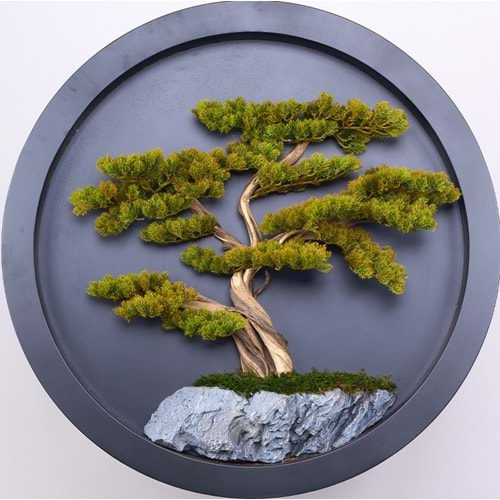 90 CM BONSAI PANO