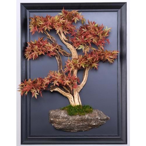 50*70 CM BONSAI TABLO