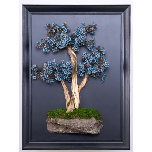 50*70 CM BONSAI TABLO