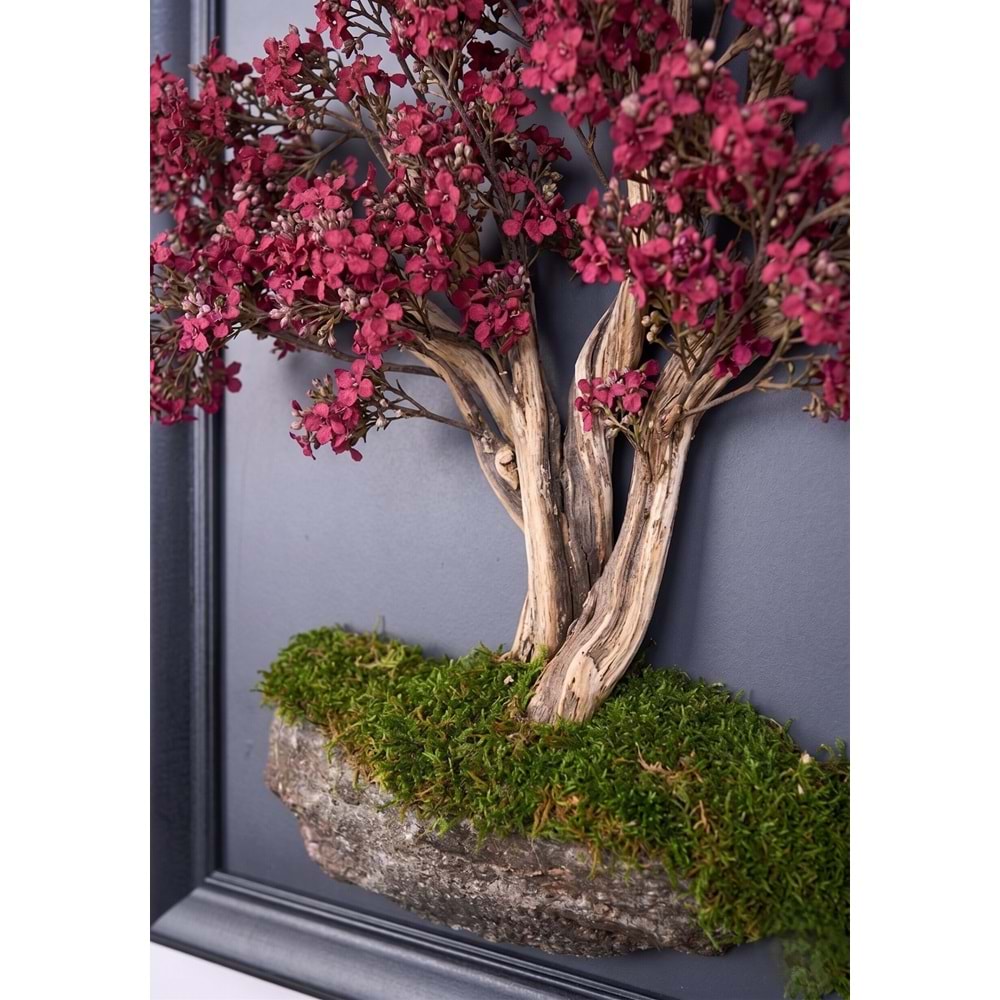 50*70 CM BONSAI TABLO